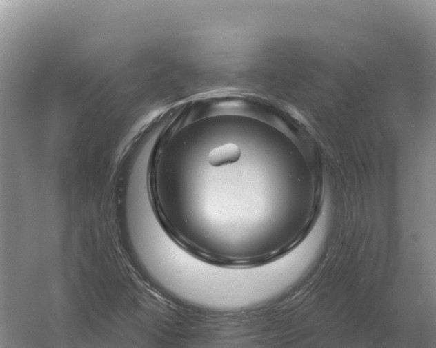 X0000058141406200509302007