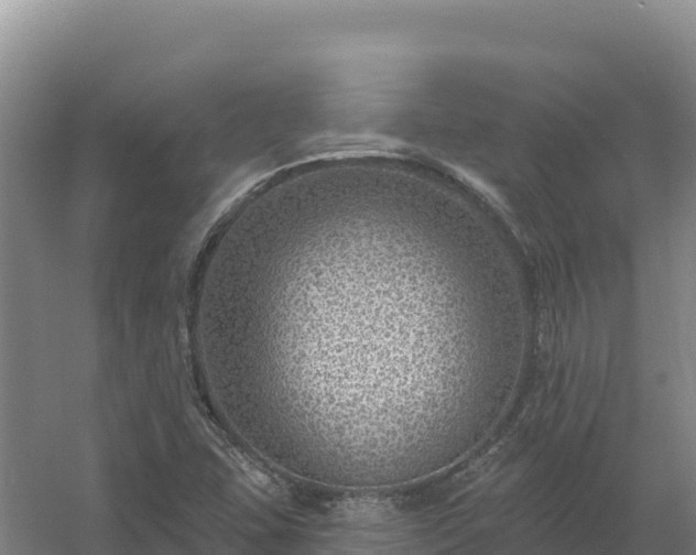 X0000058141407200509302007