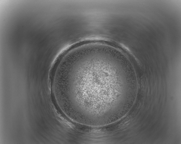 X0000058141408200509302007