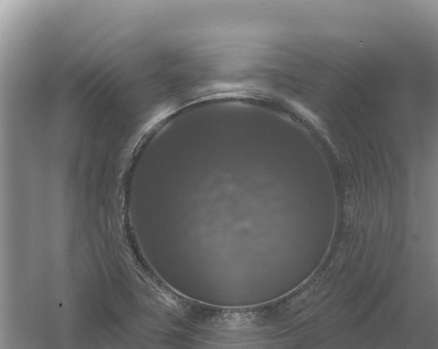 X0000058141411200509302007