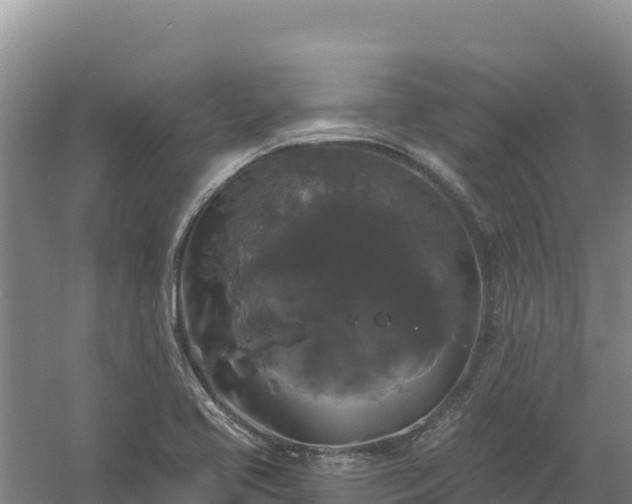 X0000058141413200509302007