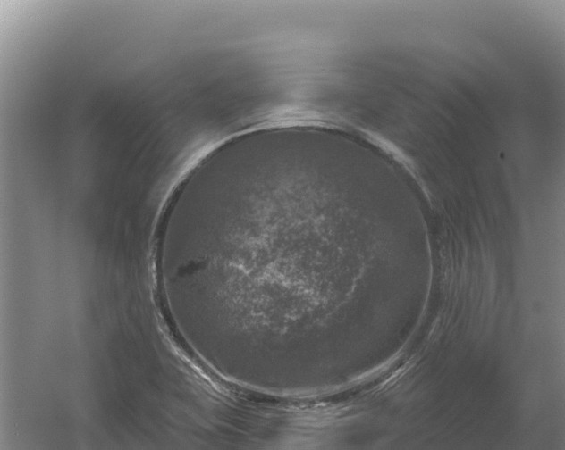 X0000058141415200509302007