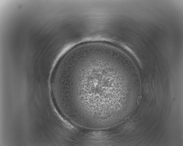 X0000058141416200509302007