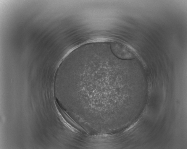 X0000058141417200509302007