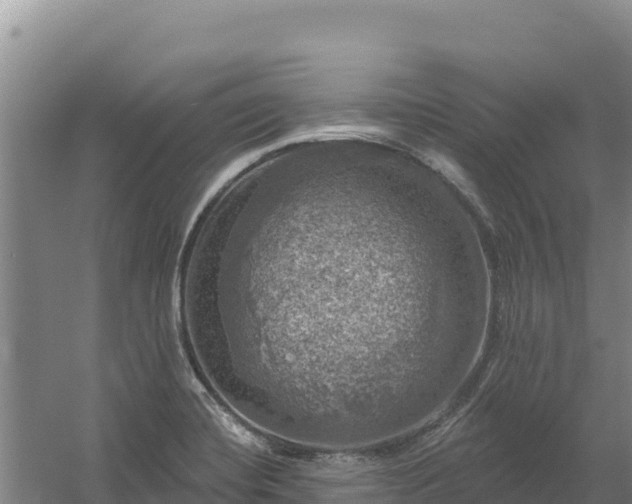 X0000058141420200509302007