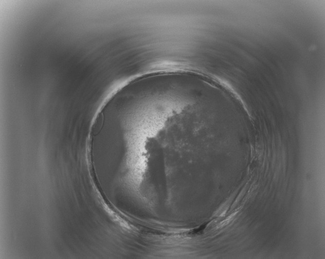 X0000058141421200509302007