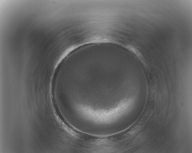 X0000058141422200509302007