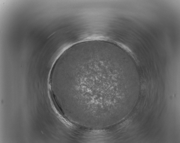 X0000058141423200509302007