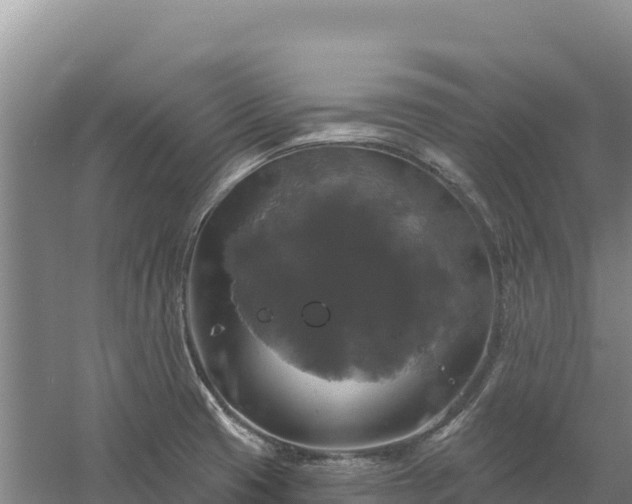 X0000058141425200509302007