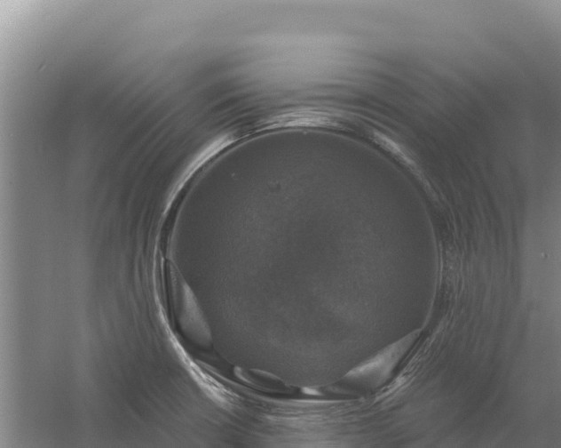 X0000058141426200509302007