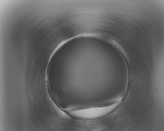 X0000058141428200509302007