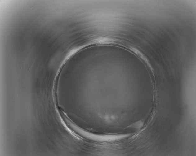 X0000058141429200509302007