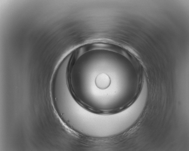 X0000058141430200509302007