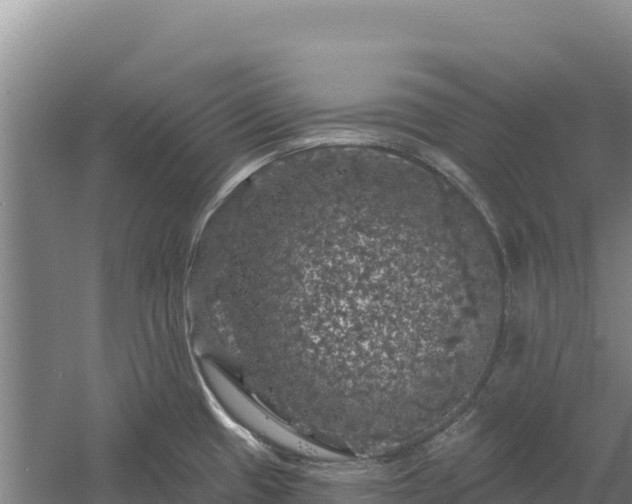 X0000058141433200509302007