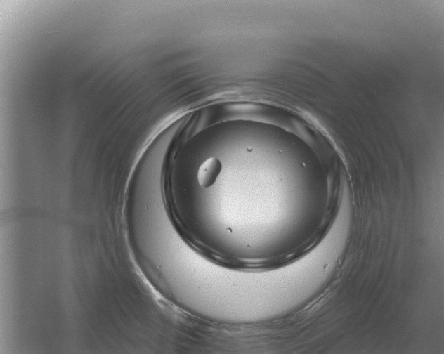 X0000058141434200509302007