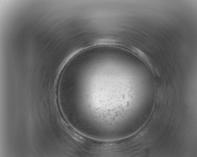 X0000058141435200509302007