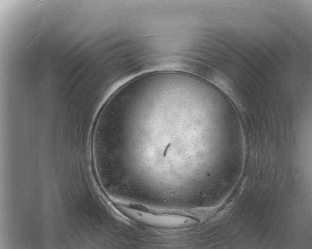 X0000058141436200509302007