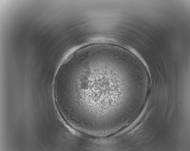 X0000058141437200509302007