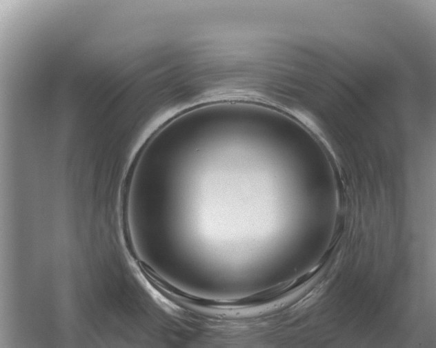 X0000058141438200509302007