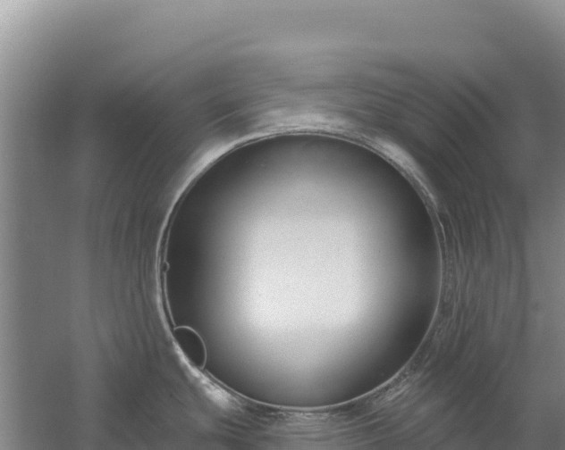 X0000058141439200509302007