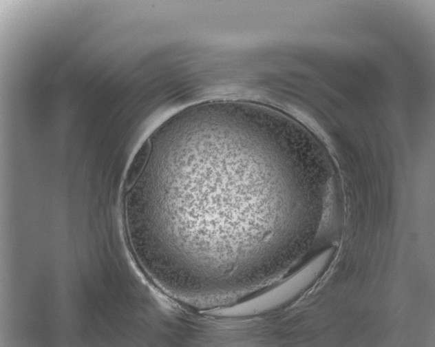 X0000058141440200509302007