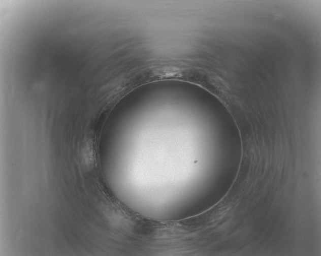 X0000058141442200509302006