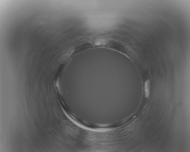 X0000058141443200509302006