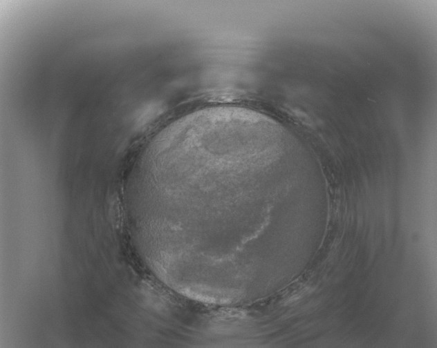 X0000058141446200509302006