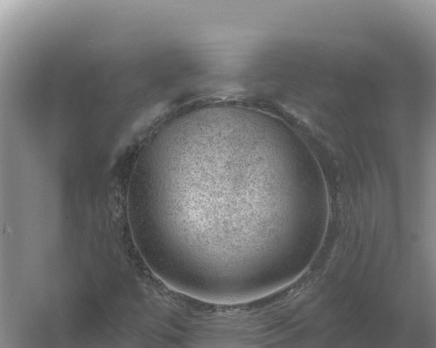 X0000058141447200509302006