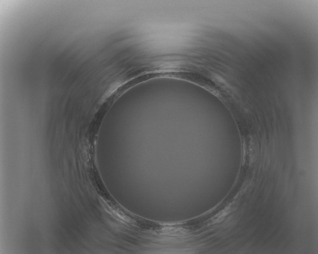 X0000058141449200509302006