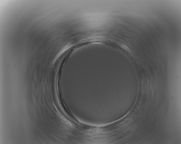 X0000058141450200509302006