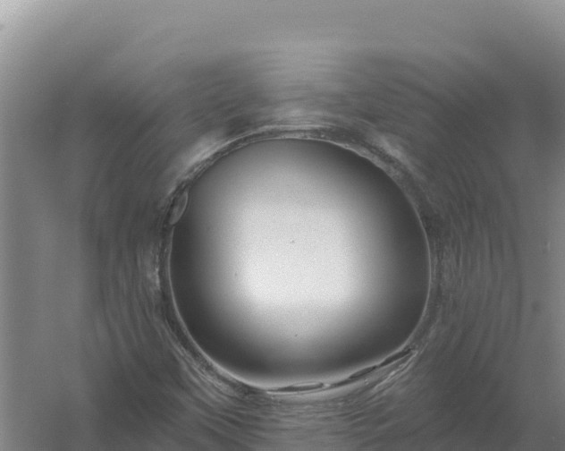 X0000058141451200509302006