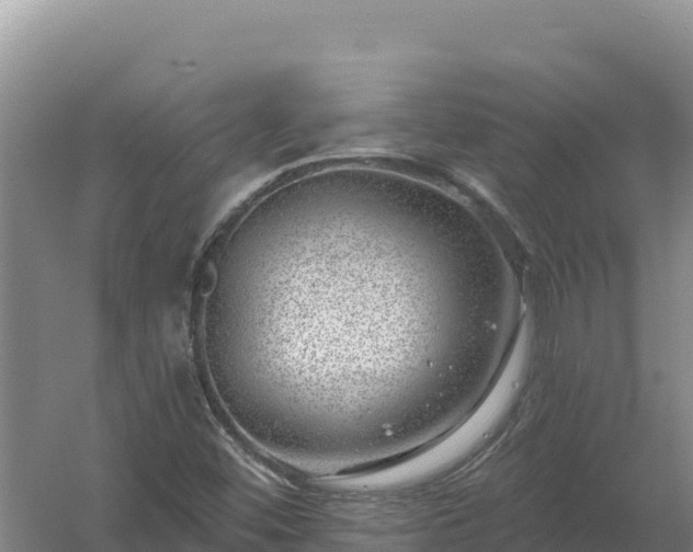 X0000058141452200509302006