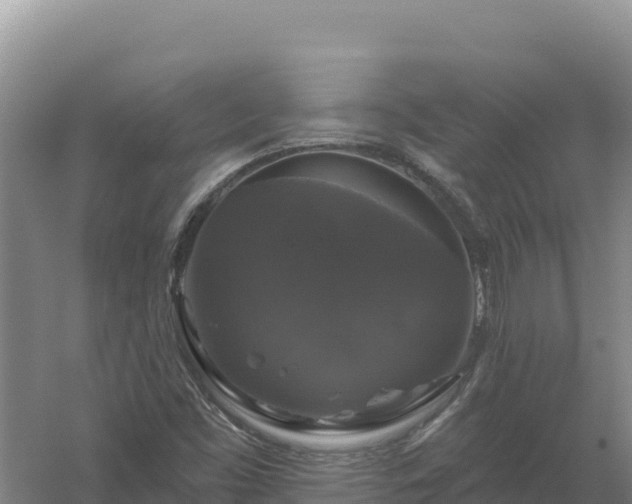 X0000058141453200509302006