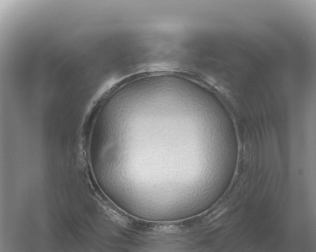 X0000058141454200509302006