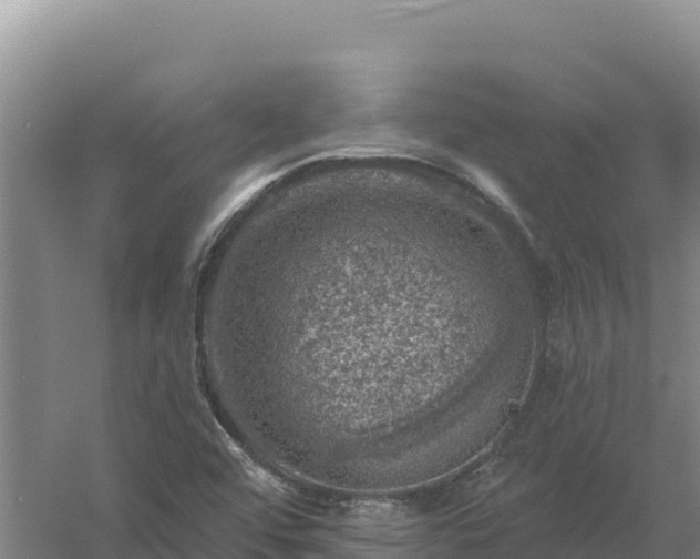 X0000058141456200509302006