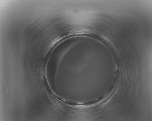 X0000058141457200509302006