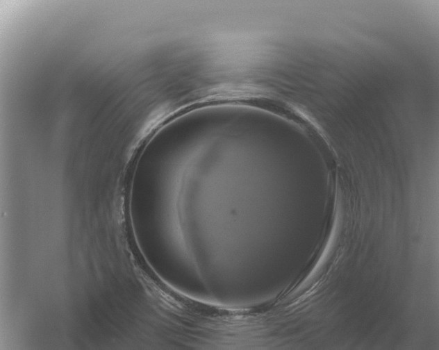 X0000058141459200509302006