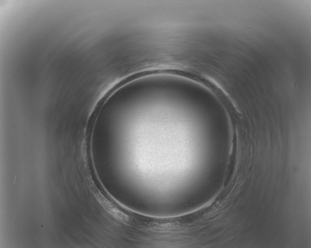 X0000058141460200509302006