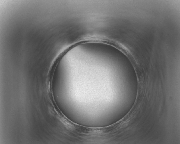 X0000058141462200509302006