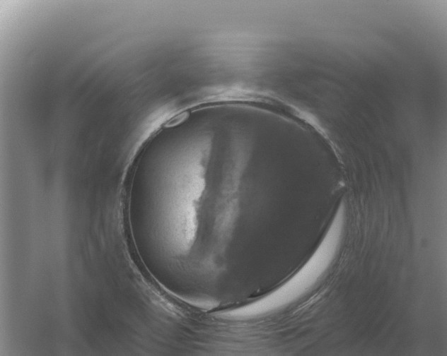 X0000058141463200509302006