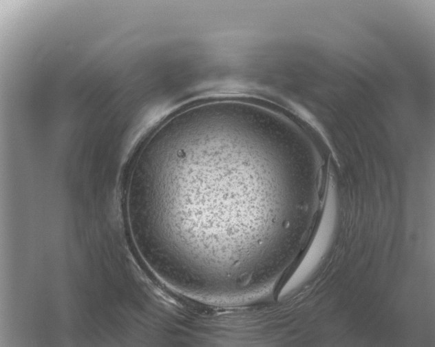 X0000058141464200509302006