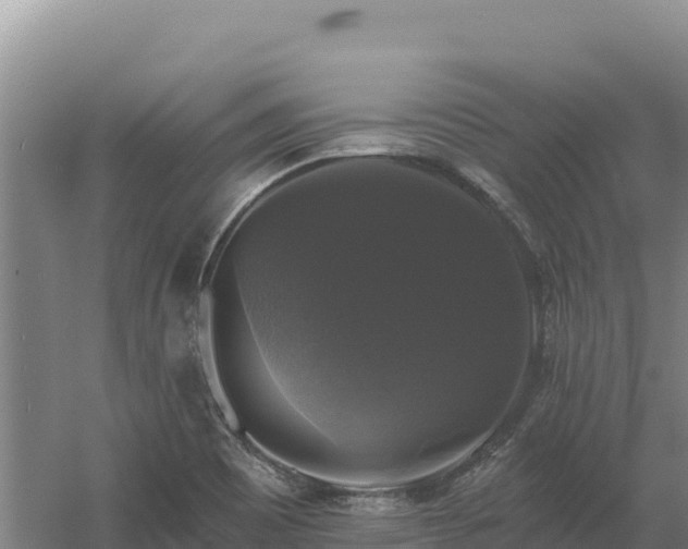 X0000058141465200509302006