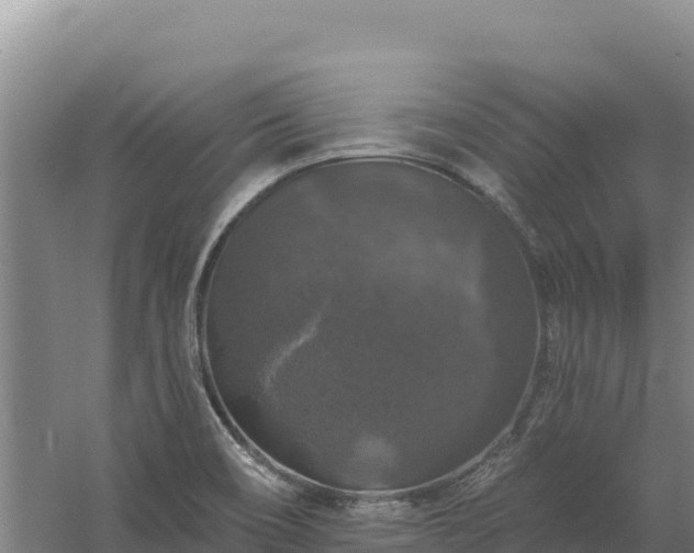 X0000058141466200509302006