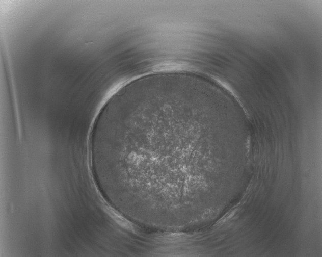 X0000058141467200509302006