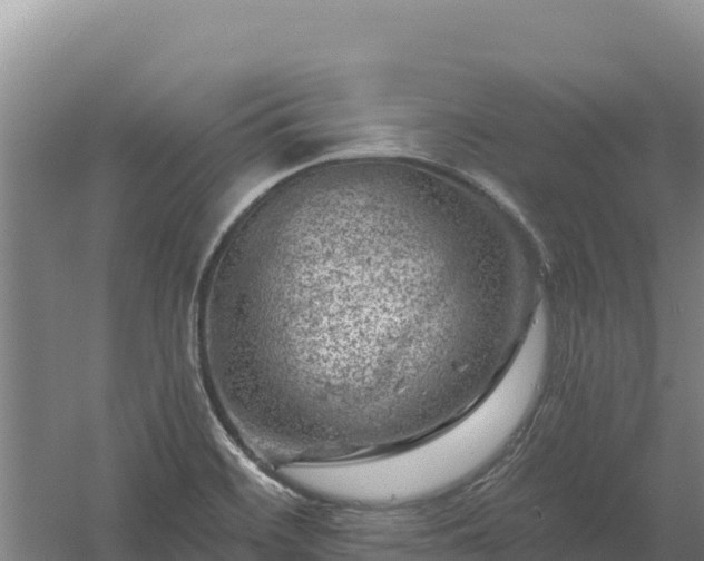 X0000058141468200509302006