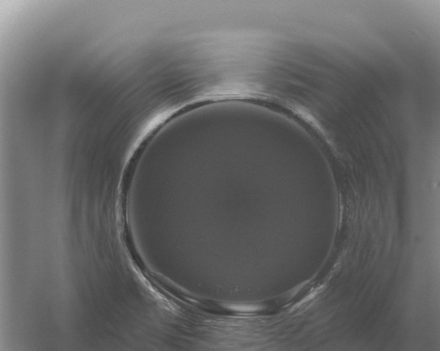 X0000058141469200509302006