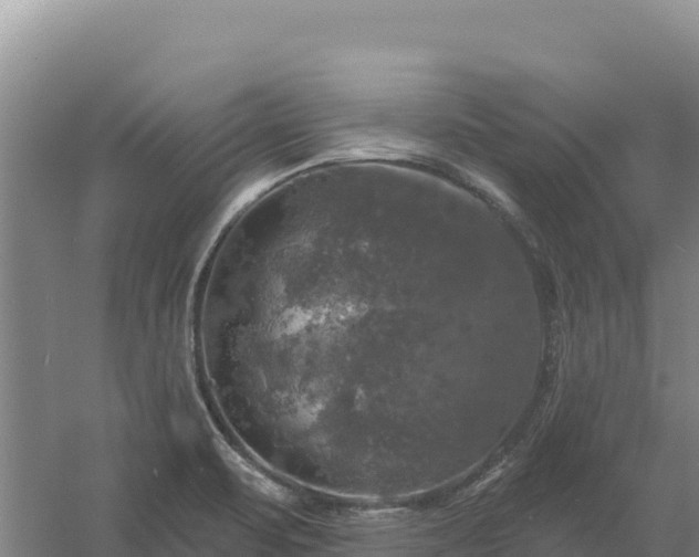 X0000058141471200509302006