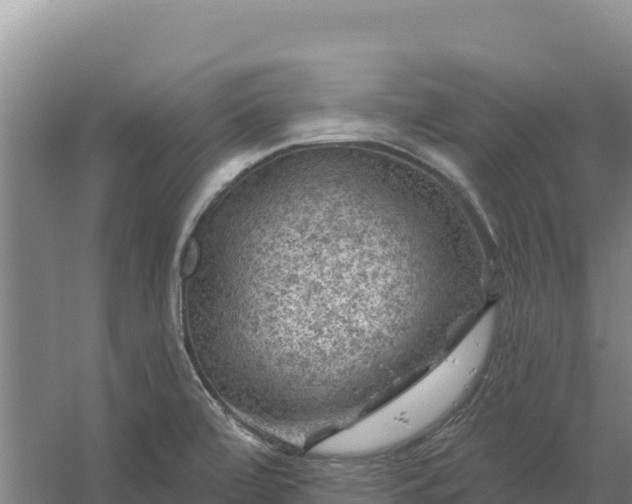 X0000058141472200509302006