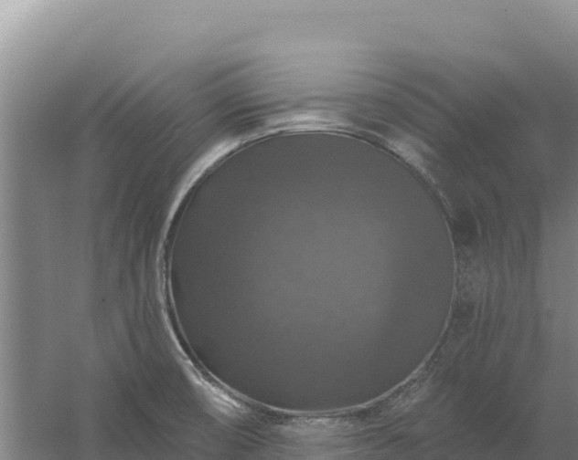 X0000058141474200509302006